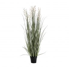 Potted Grass with 7 Heads Green/Russet