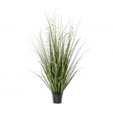 Potted Grass with 7 Heads Green/White